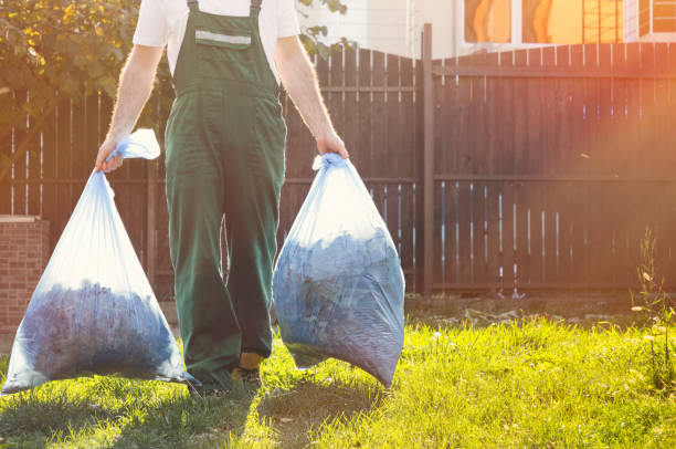 Best Junk Hauling Services  in Sewalls Point, FL